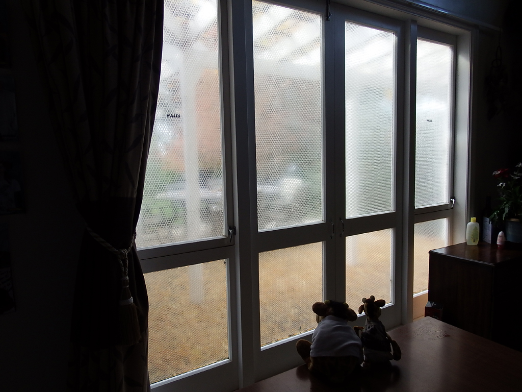 Bubble Wrap Insulation